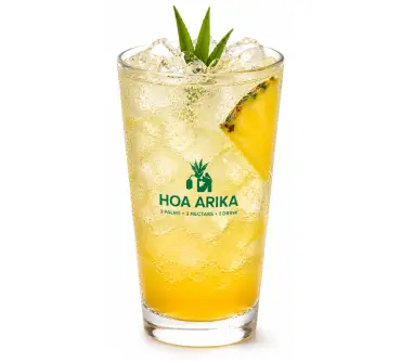 menu-sonic-pineapple