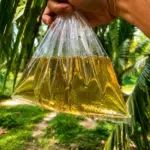 stories-hoi-an-coconut-nectar-bag