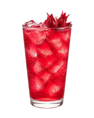 hibiscus-palm-fizz-coconut-blossom-nectar-hoa-arika-hoi-an